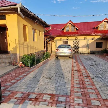 Отель Casa Andreea Новач-Стрэйни Экстерьер фото