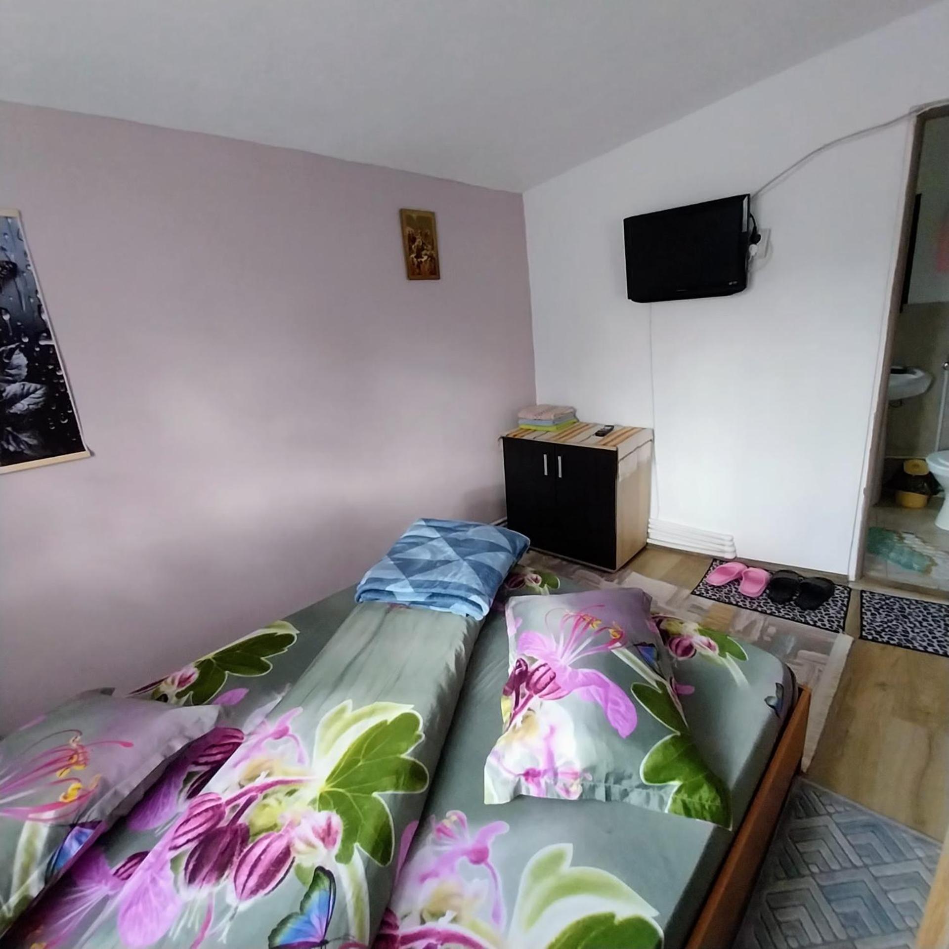 Отель Casa Andreea Новач-Стрэйни Экстерьер фото