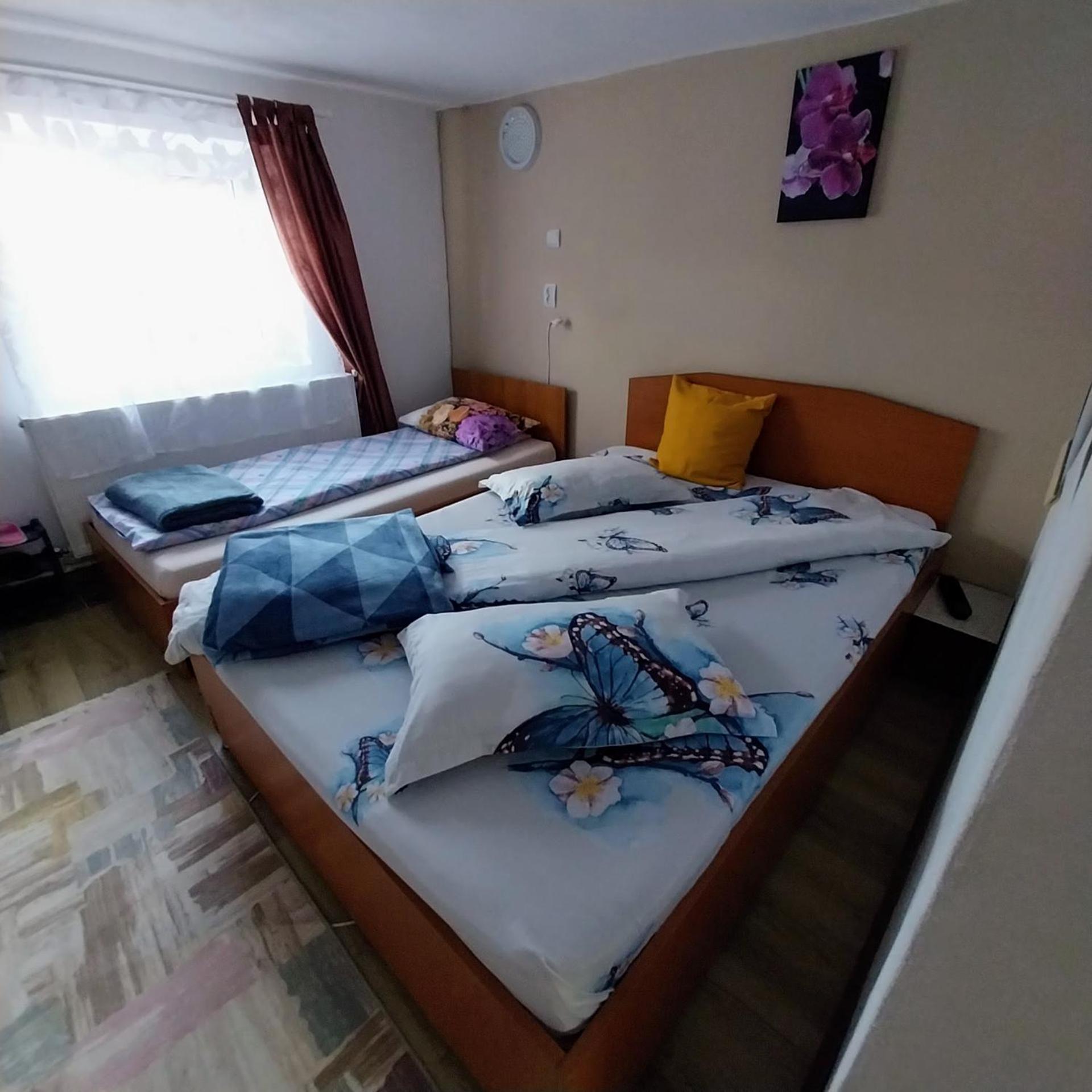 Отель Casa Andreea Новач-Стрэйни Экстерьер фото